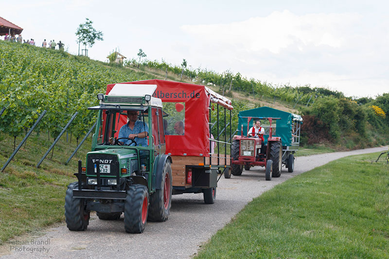 Gau-Bischofsheim Funzelfahrt